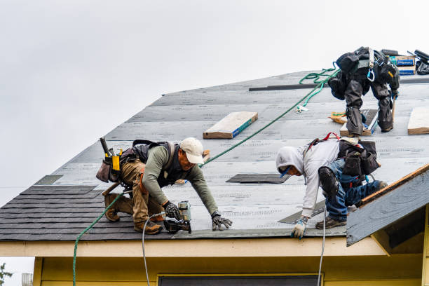 Professional Flat Roof Repair technician working in Amboy, IN